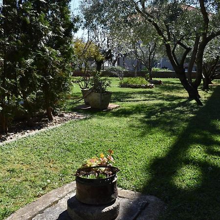 Apartman Dodo Zadar Dış mekan fotoğraf